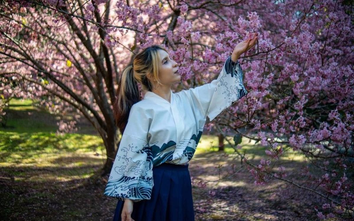 Ainda dá tempo de ver as sakuras: florada segue até o fim de agosto no Parque da Cerejeira de Campos do Jordão