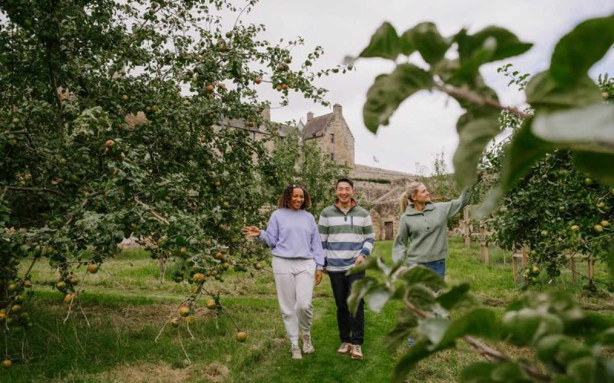 Sabores de outono: temporada de colheita na Grã-Bretanha une gastronomia, tradição e experiências de outono