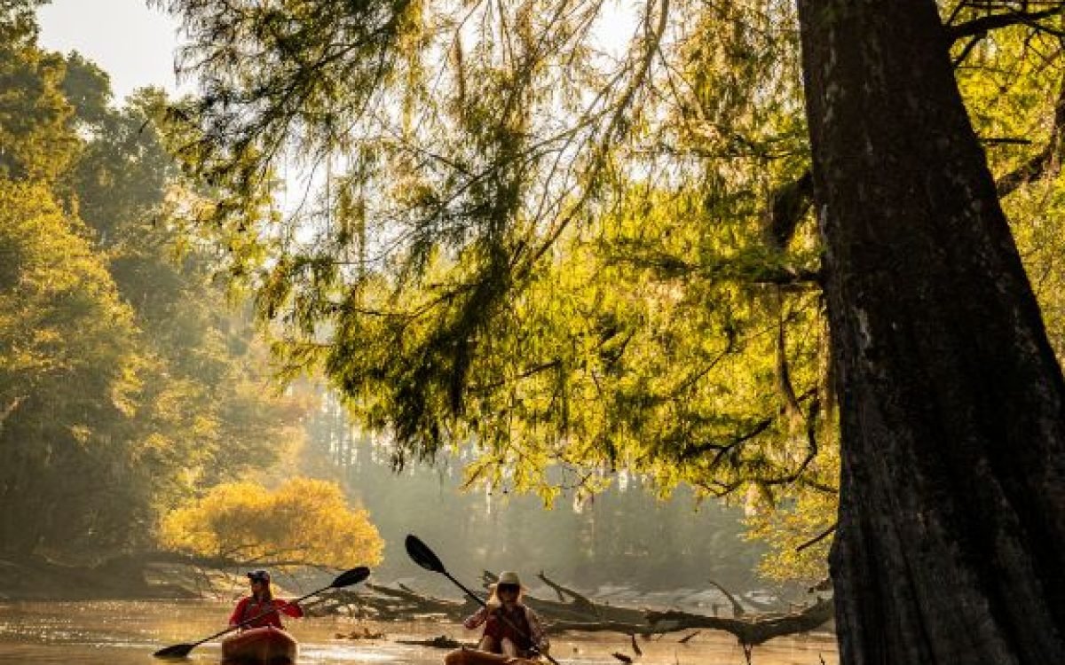 Sul dos USA – Uma viagem fotogênica pela Carolina do Sul