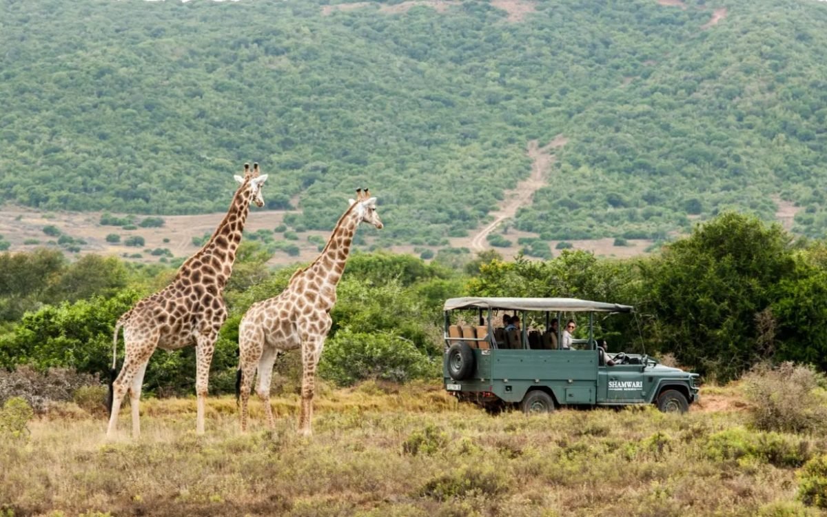 Onde o dia começa com o chamado da savana