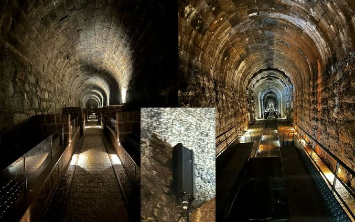 Wi-Fi no coração da Mata Atlântica: Túnel centenário ganha conectividade e vida