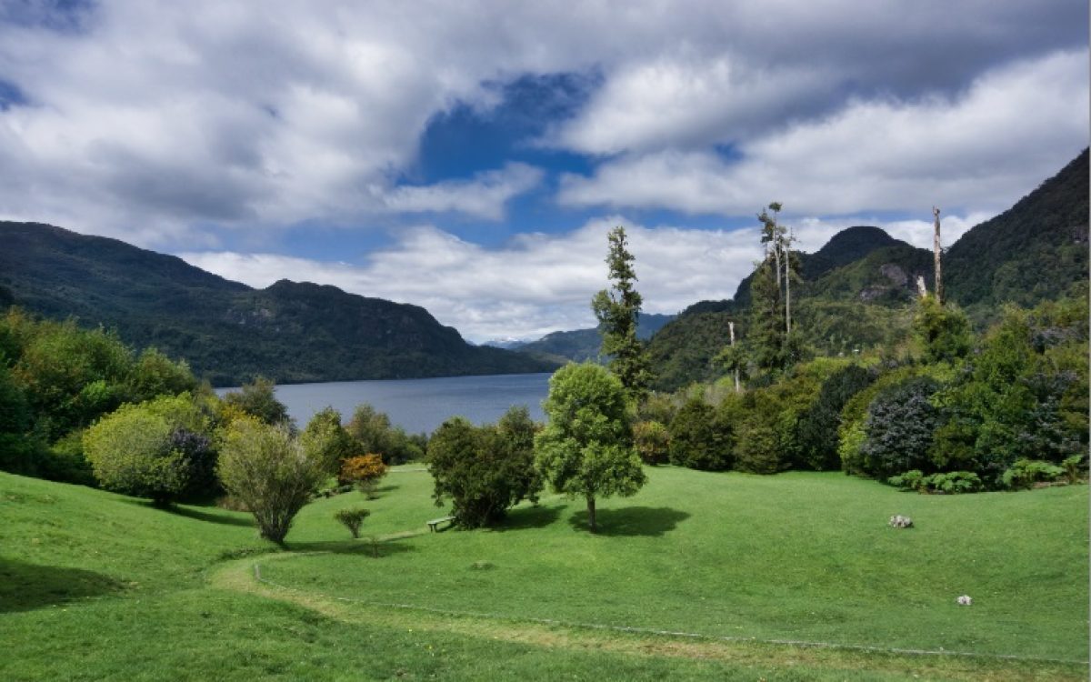 Série Patagônia – Excursão ao Parque Aikén del Sur leva o visitante a conhecer a história e espécimes da flora e da fauna da Patagônia chilena